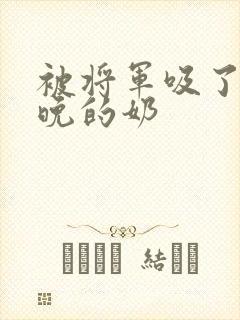 被将军吸了一整晚的奶