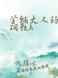 首辅大人的花式调教h