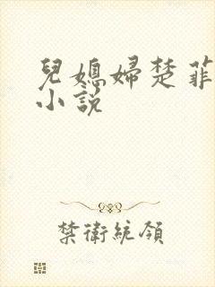 儿媳妇楚菲菲的小说