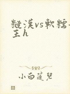 糙汉vs软糯女主h