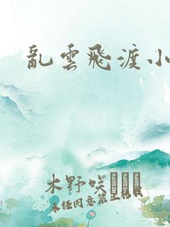 乱云飞渡小说