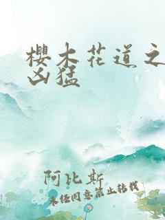 樱木花道之重生凶猛