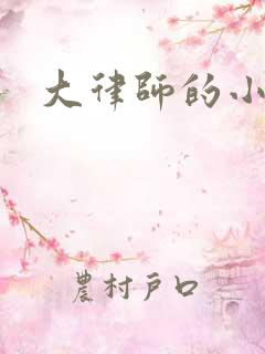 大律师的小老婆