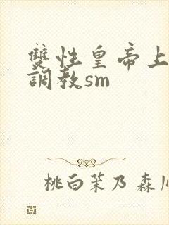 双性皇帝上朝被调教sm