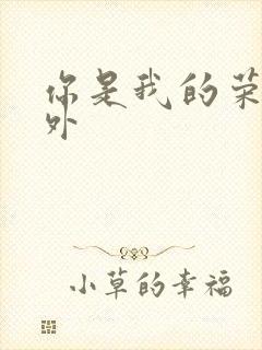 你是我的荣耀番外