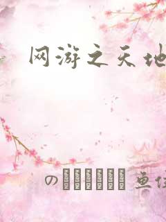 网游之天地下载