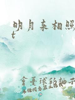 明月来相照txt