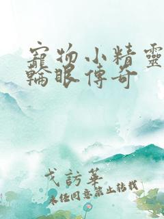 宠物小精灵之写轮眼传奇