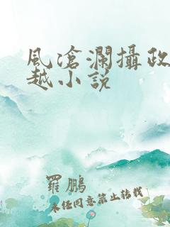 风沧澜摄政王穿越小说