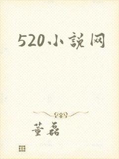 520小说网