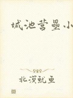 城池营垒小说