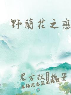 野兰花之恋