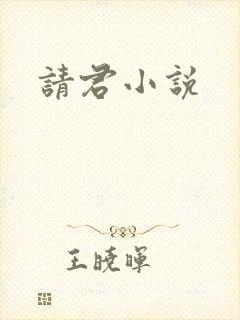 请君小说