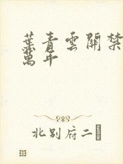 叶青云关禁闭一万年