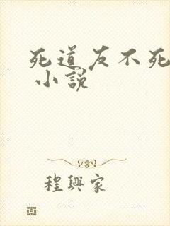 死道友不死贫道 小说