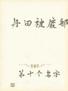 丹田被废那些年