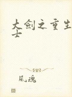 大剑之重生圣骑士