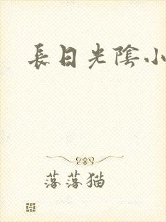 长日光阴小说