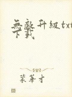 无敌升级txt下载