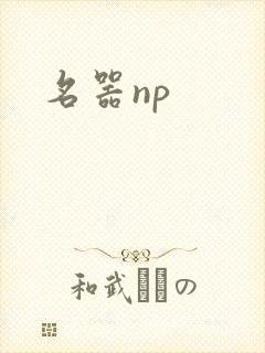 名器np