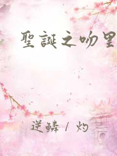 圣诞之吻里沙篇