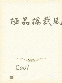 极品总裁风流录