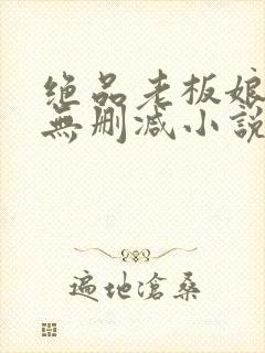 绝品老板娘完整无删减小说