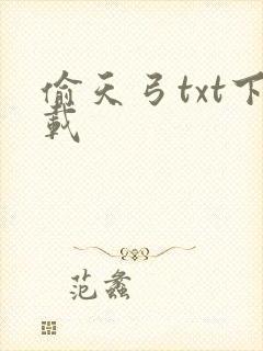 偷天弓txt下载