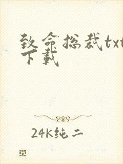 致命总裁txt下载