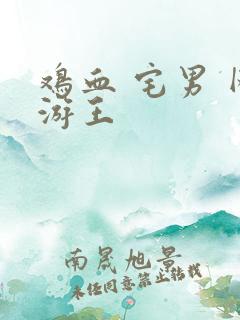 鸡血 宅男 网游王