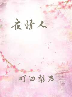 夜情人