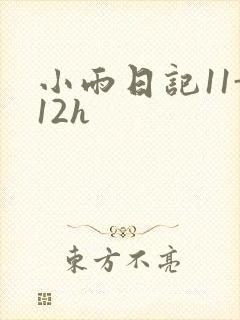 小雨日记11-12h