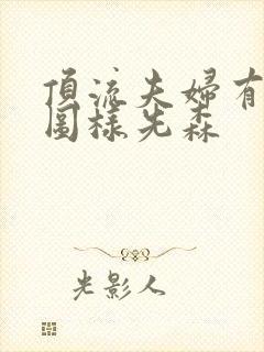 顶流夫妇有点甜图样先森