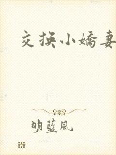 交换小娇妻互换