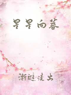 星星向蓉