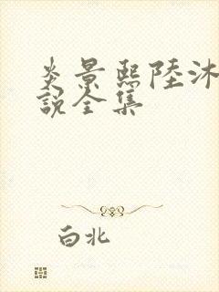 炎景熙陆沐擎小说全集