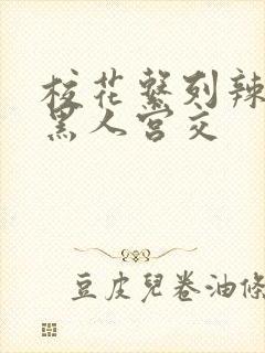 校花系列辣h文黑人宫交