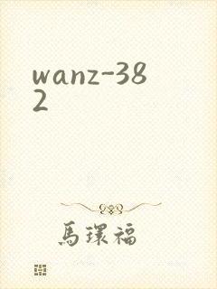 wanz-382