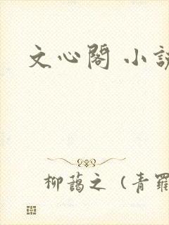 文心阁 小说