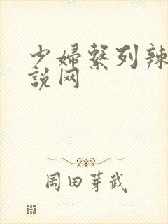 少妇系列辣文小说网