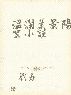 温澜叶景阳温云云小说