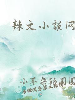 辣文小说网