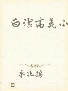 白洁高义小说