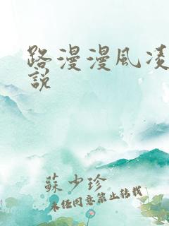 路漫漫风凌轩小说