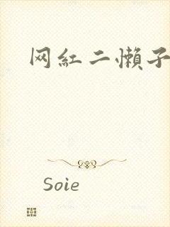 网红二懒子车祸