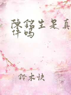 陈铭生是真实事件吗