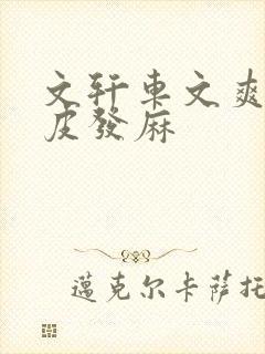 文轩车文爽到头皮发麻