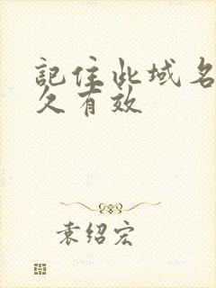 记住此域名记永久有效