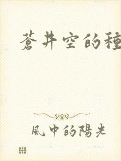 苍井空的种子