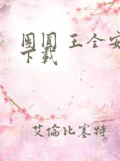 团圆 王全安 下载